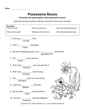 Possessive Adjectives Exercises Pdf